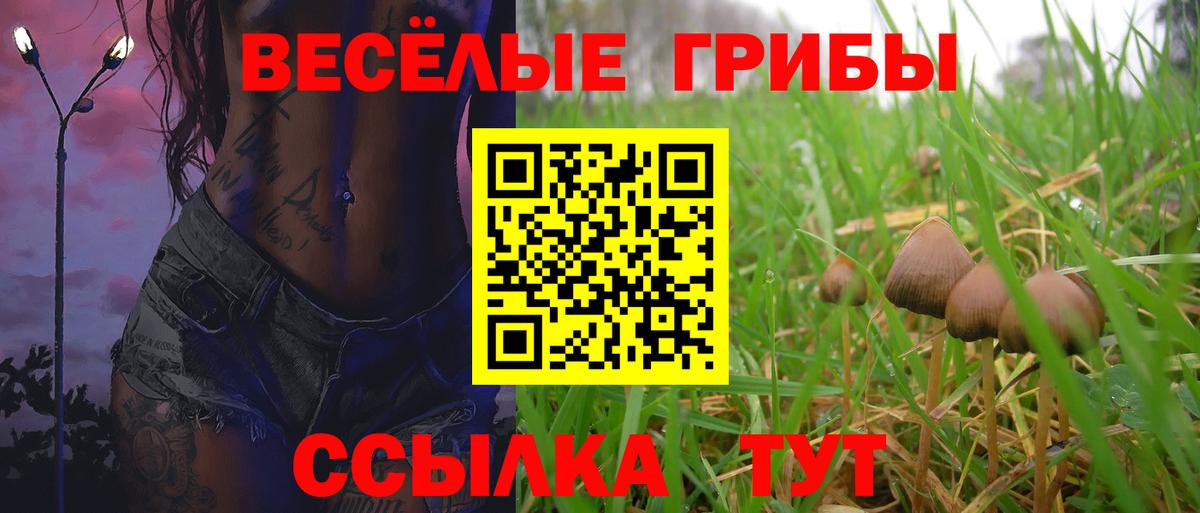 Фрязино  Псилоцибиновые грибы GOLDEN TEACHER  Вход с VPN 